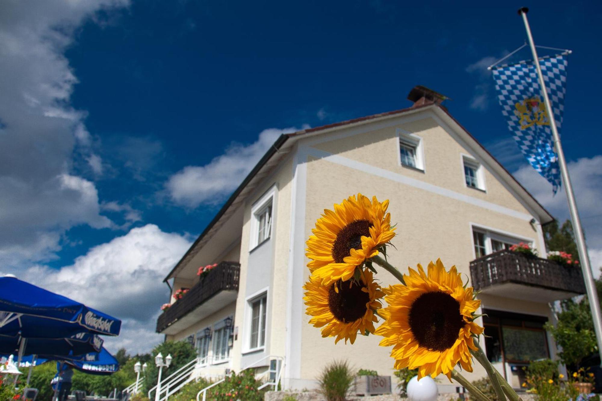 Landgasthof Am Sonnenhang Vohenstrauss Dış mekan fotoğraf